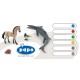 CARD ENCODES COLOUR ANIMALS