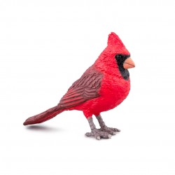 CARDINAL ROUGE