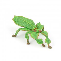 LEAF INSECT